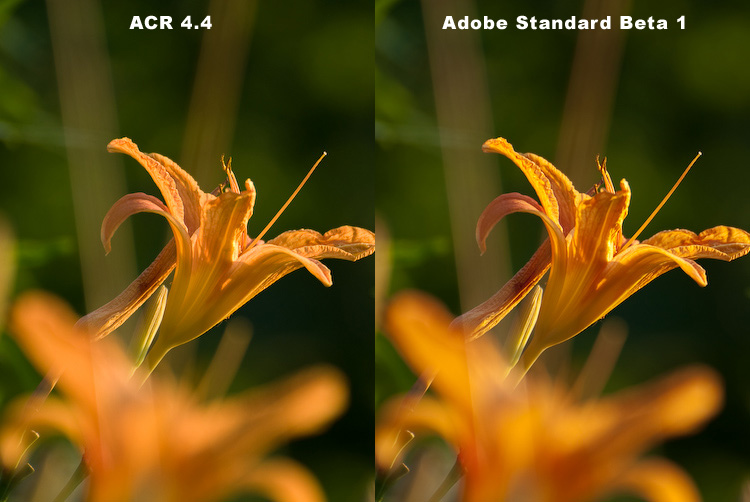 ACR 4.4 vs. Adobe Standard Beta 1