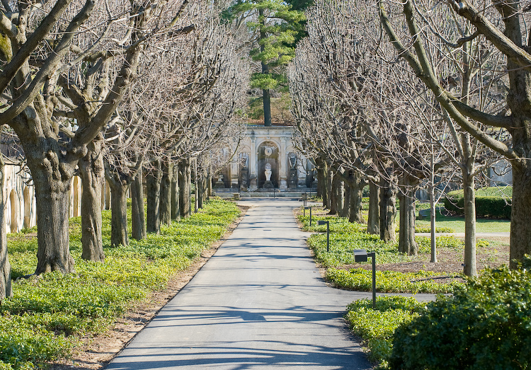 Outdoor Path