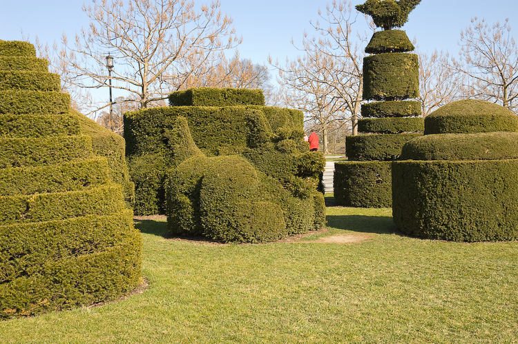 Bush Sculptures