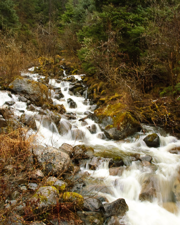 Fast moving water near the end of the Mendenhall Glacier scenic trail.