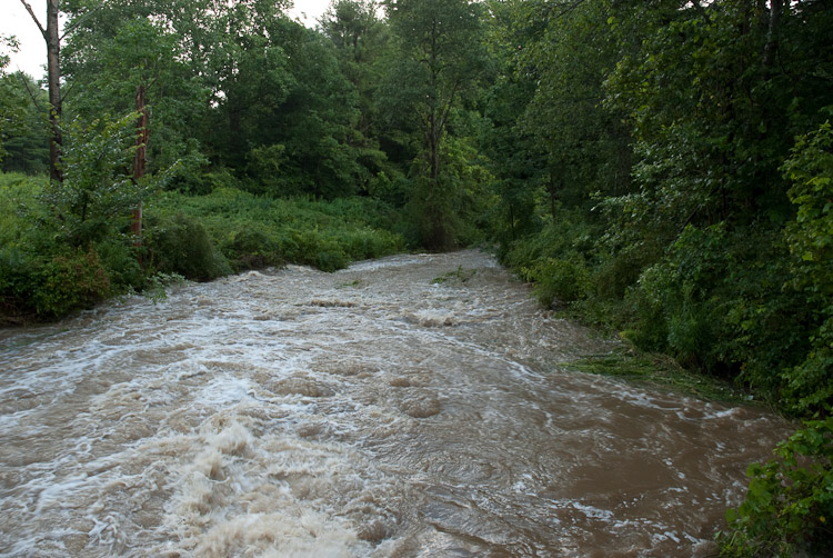 A raging torrent that used to be a stream